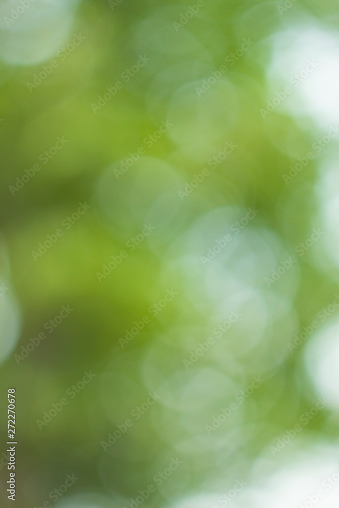 Blurred light through the green tree leaves Blurred light through the green tree leaves