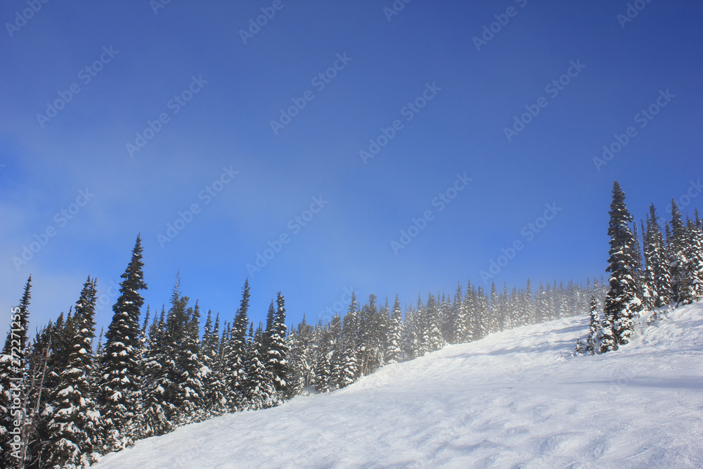 Fototapeta premium Sunny day like in a winterwonderland in beautiful whistler in canada, british columbia