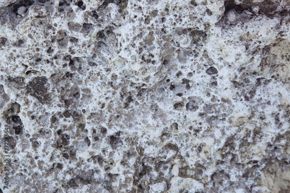 Obraz premium Stone textured background close up