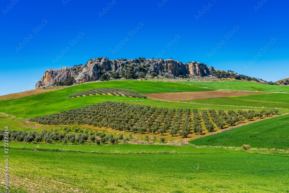 Landscape near Cuevas del Becerro in province Malaga, Andalusia, Spain