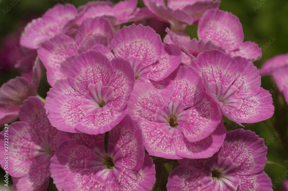 Naklejka premium Мы хотим к Вам