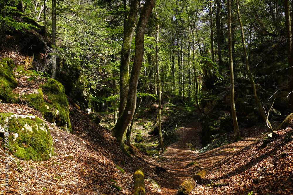 Felsenmeersteig bei Albstadt-Laufen, Schwäbische Alb Felsenmeersteig bei Albstadt-Laufen, Schwäbische Alb