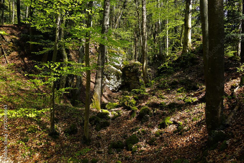 Obraz premium Felsenmeer bei Albstadt-Laufen, Schwäbische Alb