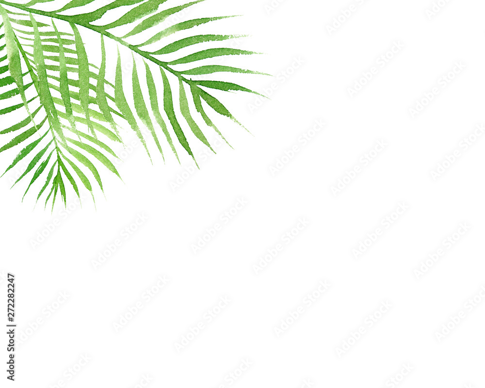 Obraz premium hand drawn watercolor tropical border frame with palm tree leaves isolated on white background