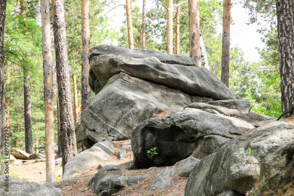 rocks rocks