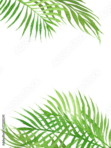hand drawn watercolor tropical border frame with palm tree leaves isolated on white background © Hanna