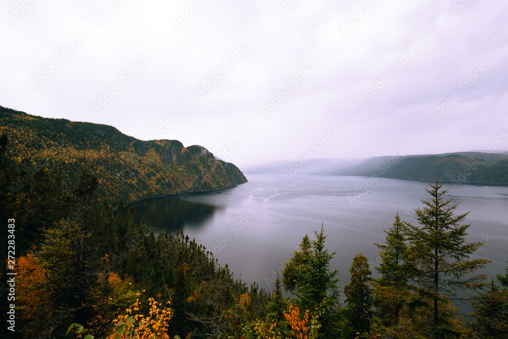 View of the Sagenay fjord in the forest