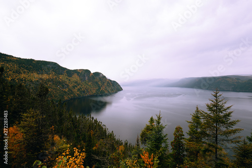 View of the Sagenay fjord in the forest