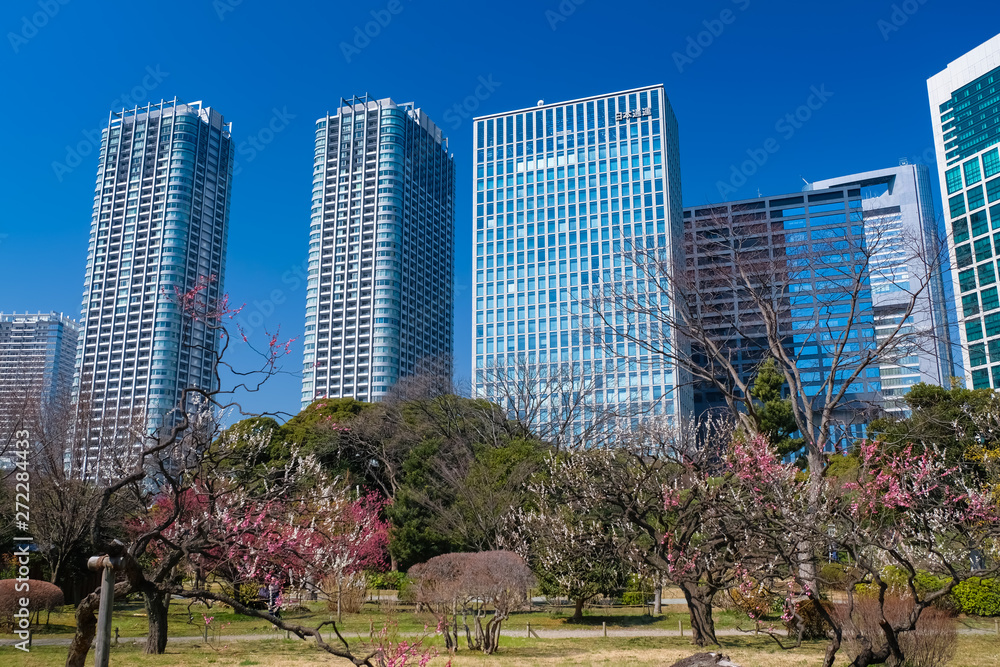 Obraz premium 浜離宮恩賜庭園 花木園