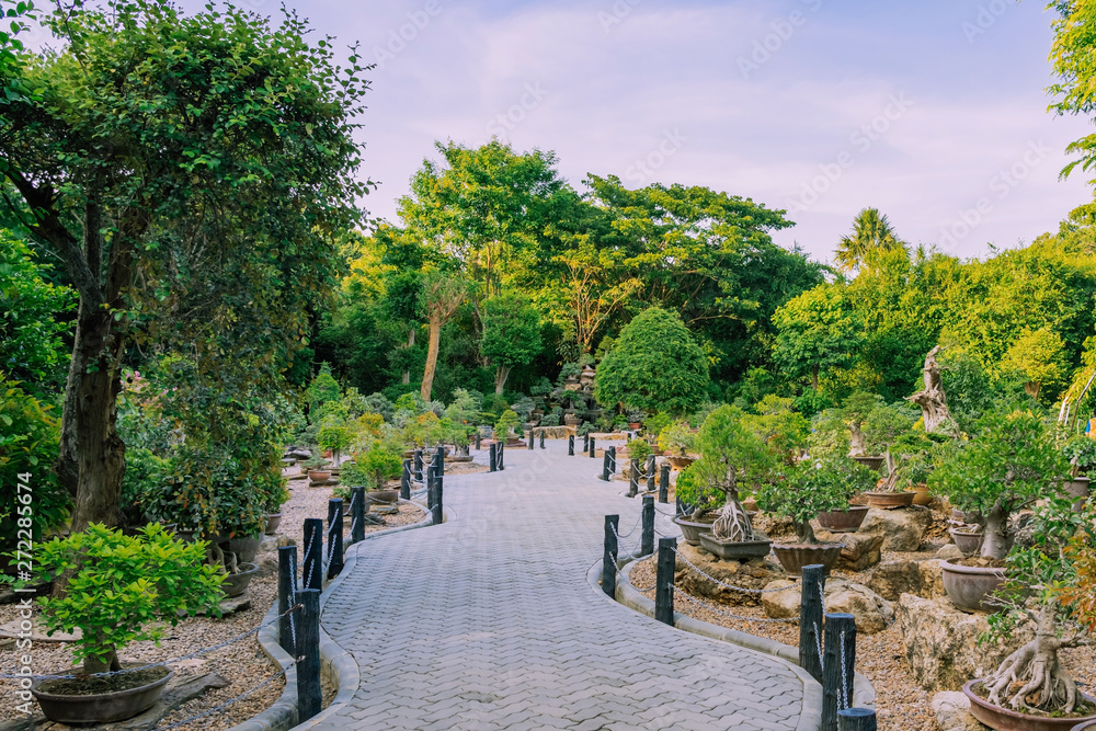 Variety of Bonsai trees were planted in pots and was many sorted for decoration in public garden.