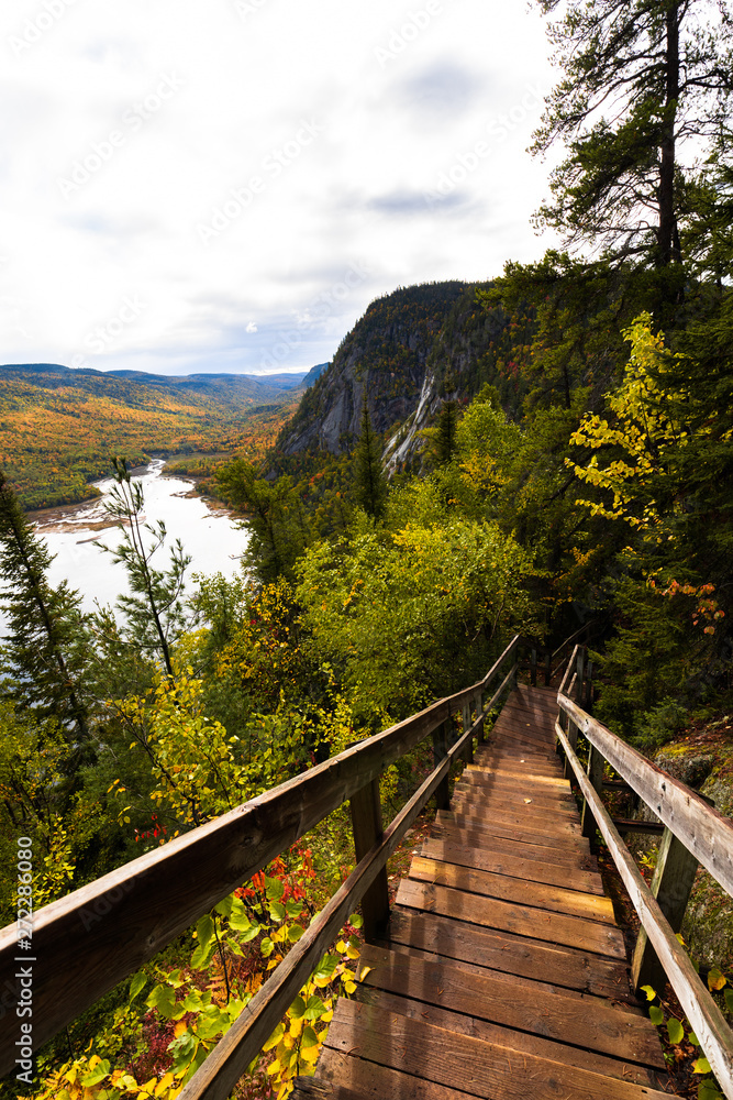 View of the Sagenay fjord in the forest View of the Sagenay fjord in the forest