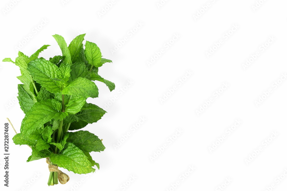 fresh mint leaves mentha piperita leaves herb isolated in white background fresh mint leaves mentha piperita leaves herb isolated in white background