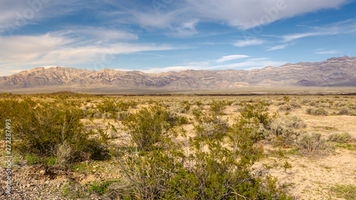 Scenic landscape of vegetation in the desert with mountains in background. California, USA
