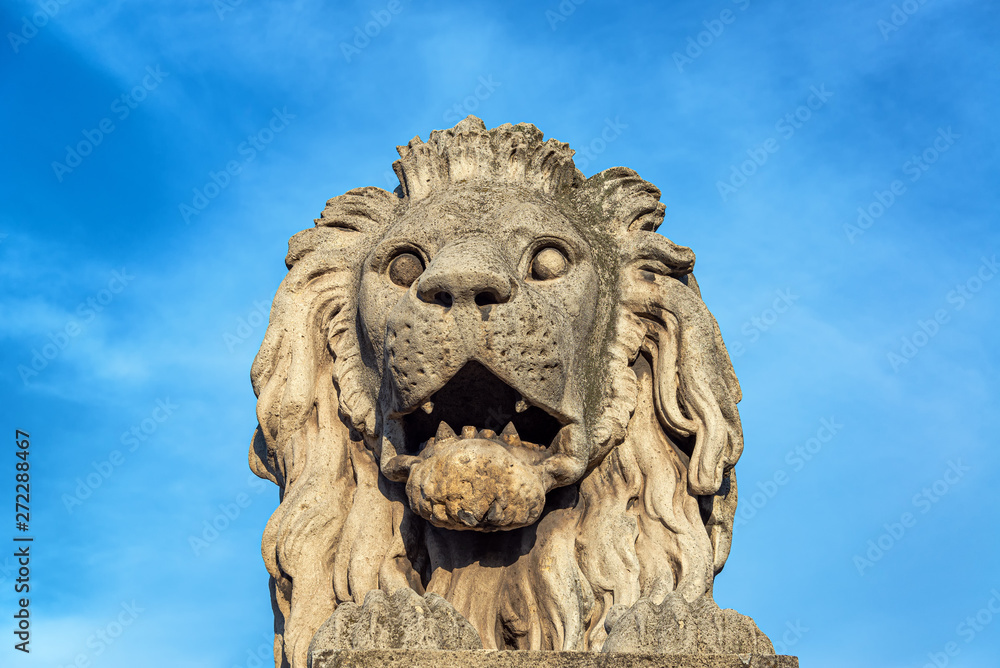 Lion on Budapest Chain Bridge