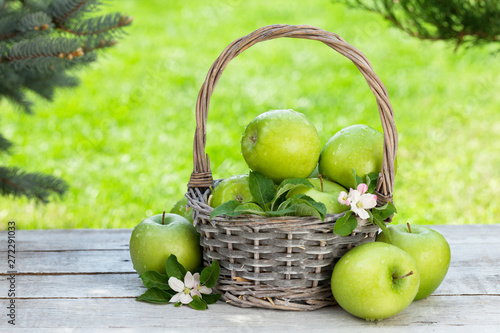 Fresh garden green apples in basket