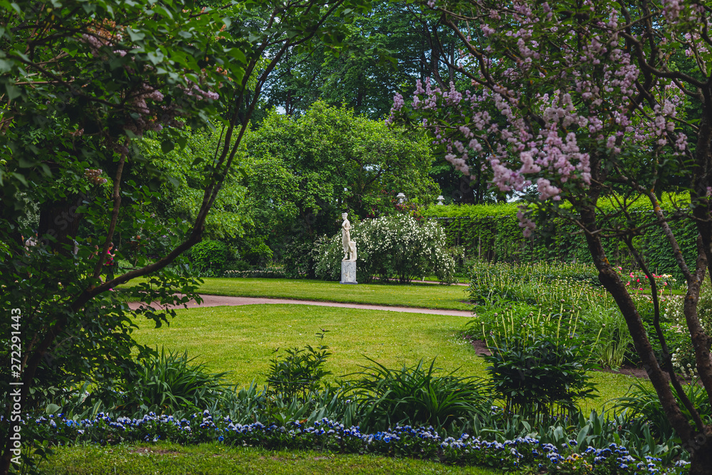 park in the suburbs of St. Petersburg in the summer park in the suburbs of St. Petersburg in the summer