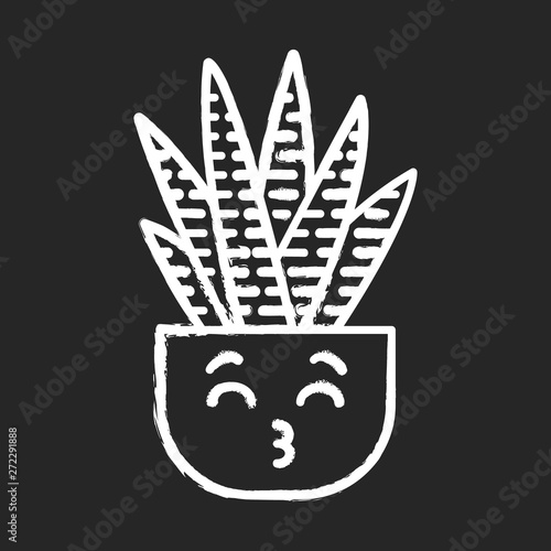 Zebra cactus chalk icon