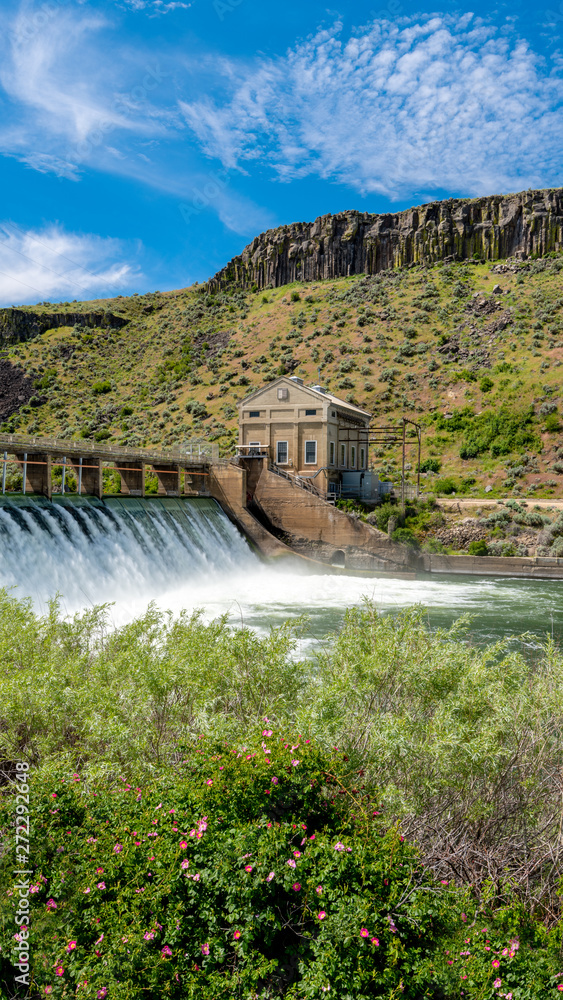 Boise River Dam in Idaho with blooming rose bush