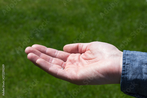 hands of man on grass background © agrus
