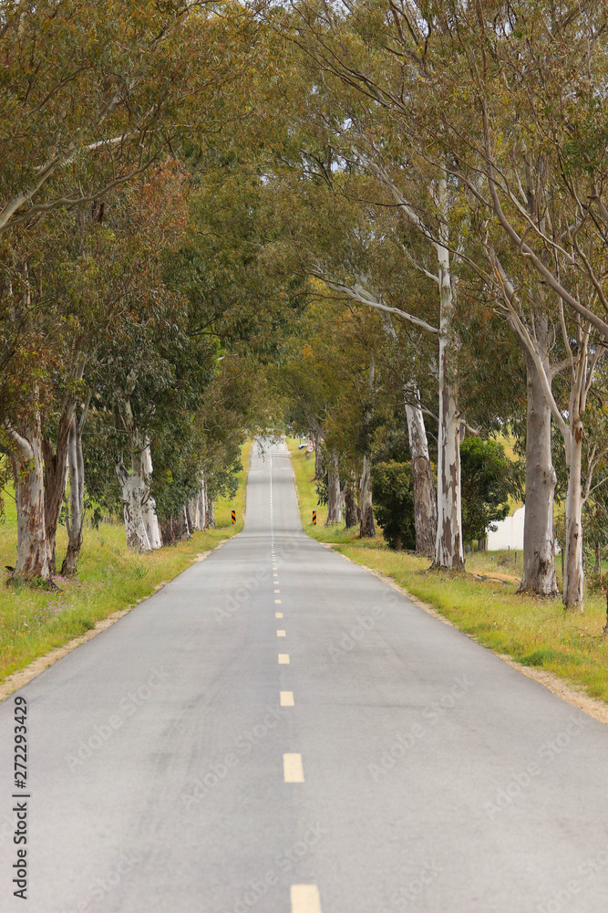 landscape of country road. Countryside road