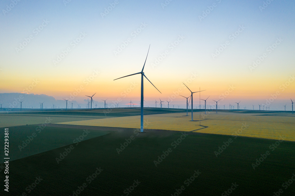 Fototapeta premium Aerial view of Eolian generators in a beautiful wheat field. Eolian turbine farm. Wind turbine silhouette. Wind field turbines. Wind propeller. Electric power production. Green energy. Morning light
