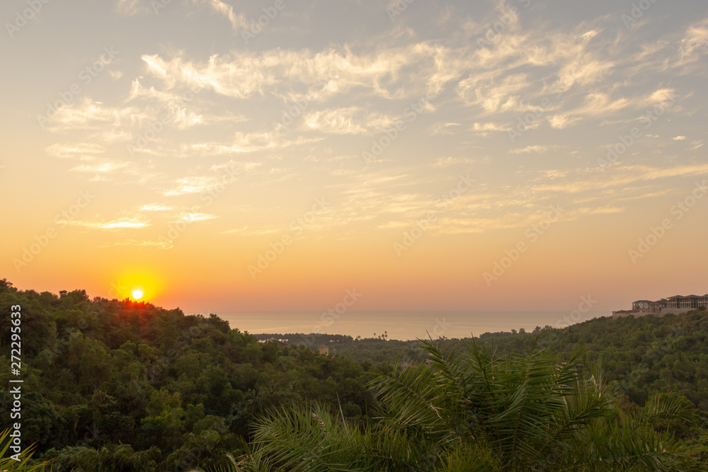 Landscape of colorful sunset on the background of palm trees Landscape of colorful sunset on the background of palm trees