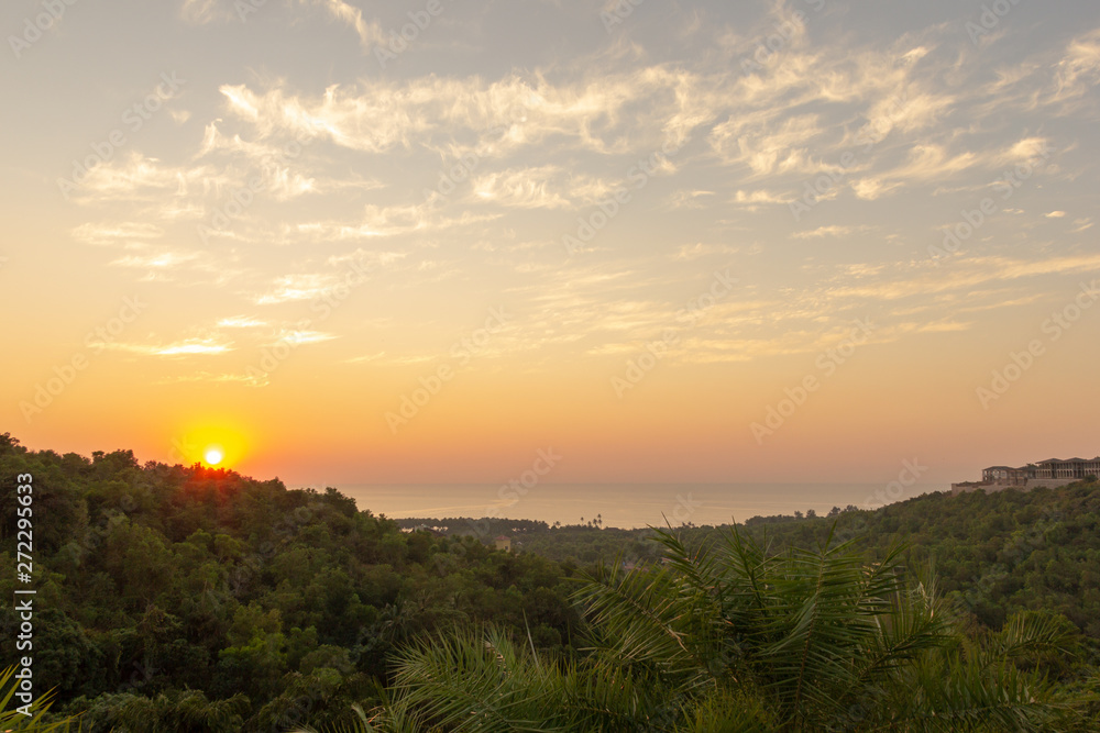 Landscape of colorful sunset on the background of palm trees