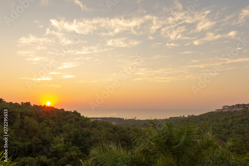 Landscape of colorful sunset on the background of palm trees