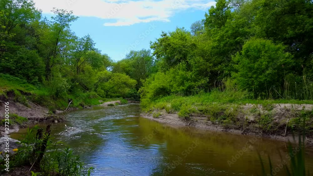 Beautiful Flowing River Surrounded By Forest Trees in Summer. Viewpoint From Treelined River Shore Inside Woodland Tree Area. Beautiful Flowing River Surrounded By Forest Trees in Summer. Viewpoint From Treelined River Shore Inside Woodland Tree Area.