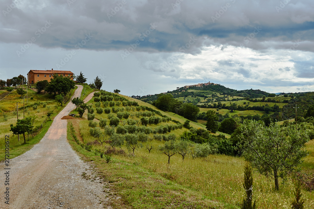 Naklejka premium the way to a rural house on a hill in Tuscany..