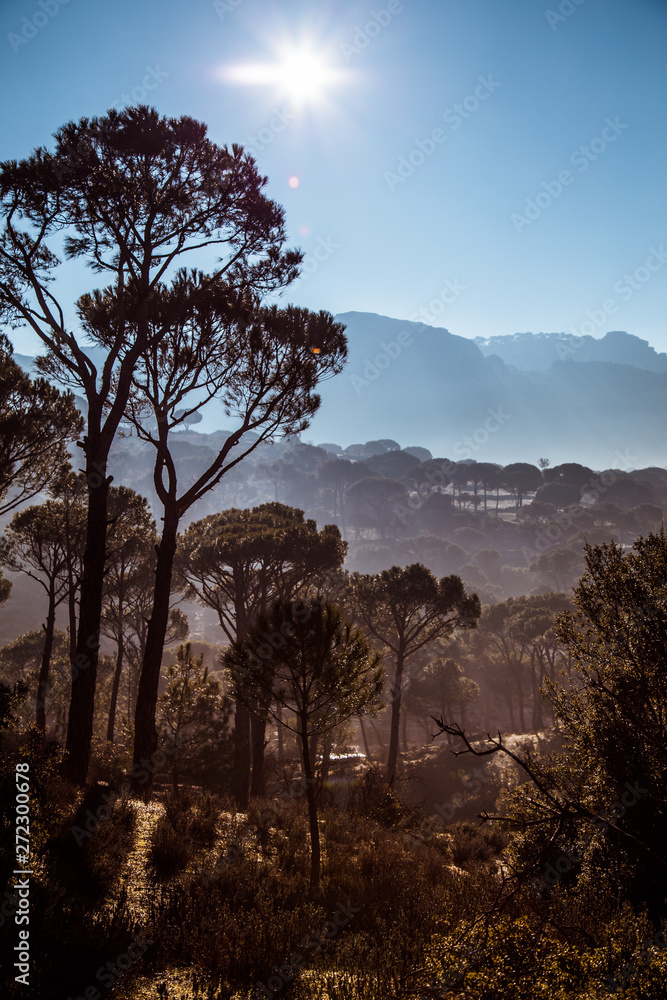 Obraz premium landscape