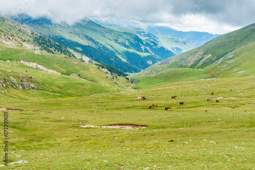 High green beautiful valley in the mountains.