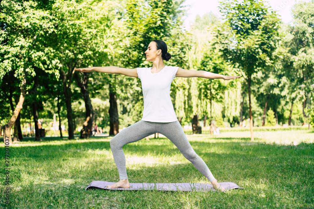 Beautiful young woman doing yoga in park. Relaxing and meditating while being surrounded by nature in summer park Beautiful young woman doing yoga in park. Relaxing and meditating while being surrounded by nature in summer park