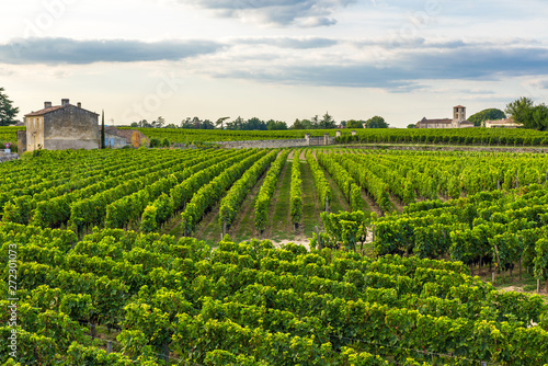 Bordeaux vineyards beautiful landscape of Saint Emilion vineyard in France