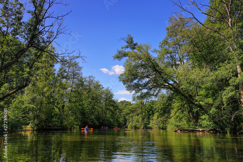 Fototapeta Naklejka Na Ścianę i Meble -  Mazury-rzeka Krutynia w północno-wschodniej Polsce