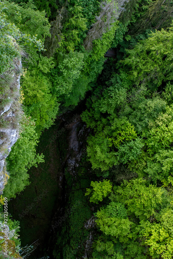 The Macocha Abyss in the Moravian Karst cave system, , the largest chasm in the Czech Republic . Czech Republic, Europe . European travel. The Macocha Abyss in the Moravian Karst cave system, , the largest chasm in the Czech Republic . Czech Republic, Europe . European travel.