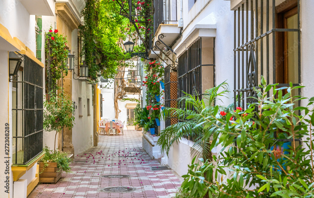 Picturesque sight in Marbella old town, province of Malaga, Spain.