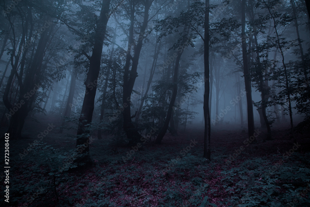 Dark grey scary forest, halloween concept. 