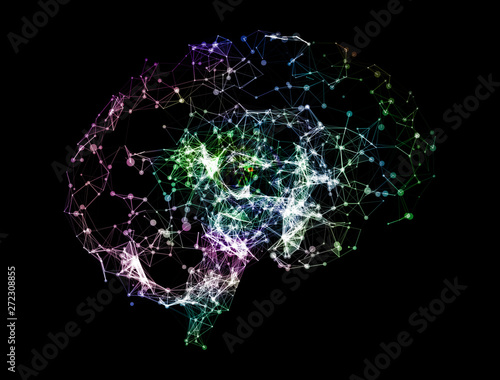 Low Poly Brain for Network
