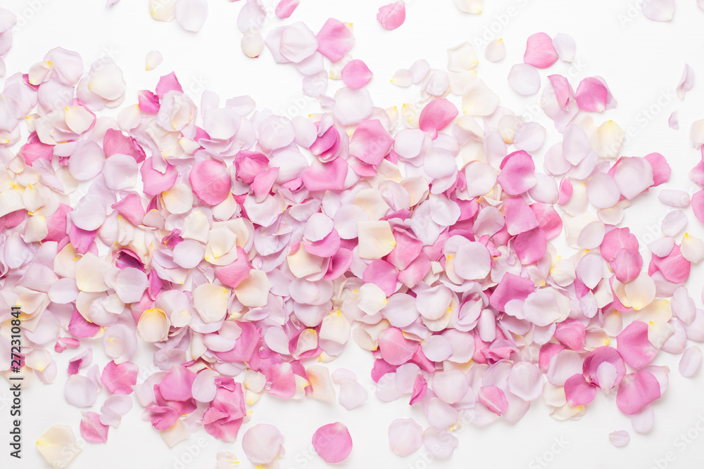 Obraz premium Pink rose flowers petals on white background. Flat lay, top view, copy space.