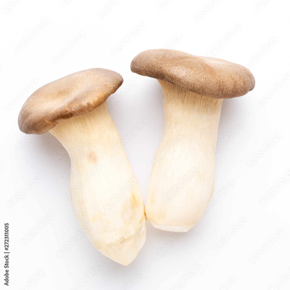 King oyster mushroom on white background. King oyster mushroom on white background.