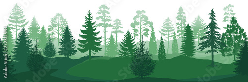 Forest silhouettes. Wild nature wood backgrounds, green pine trees firs and spruces landscape. Vector evergreen coniferous park backdrop photo