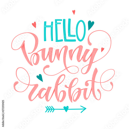 Hello Bunny Rabbit quote. Isolated color pink  blue flat hand draw calligraphy script and grotesque lettering logo phrase.
