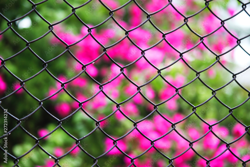 Fototapeta premium seamless pattern