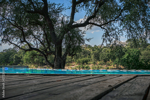 Wallpaper Mural Safari im Majete Nationalpark Torontodigital.ca