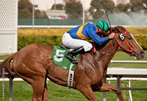 Canvas Print Profile View of Race Horse & Jockey at Full Stretch