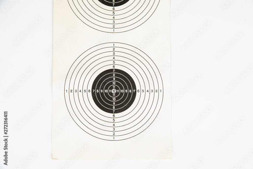 Shooting target on a white background. Success concept Shooting target on a white background. Success concept