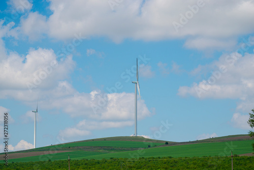 Windmill field 