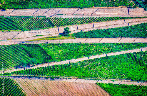 Destination -Rudeshemer Roseneck vineyards in Germay during summer season photo