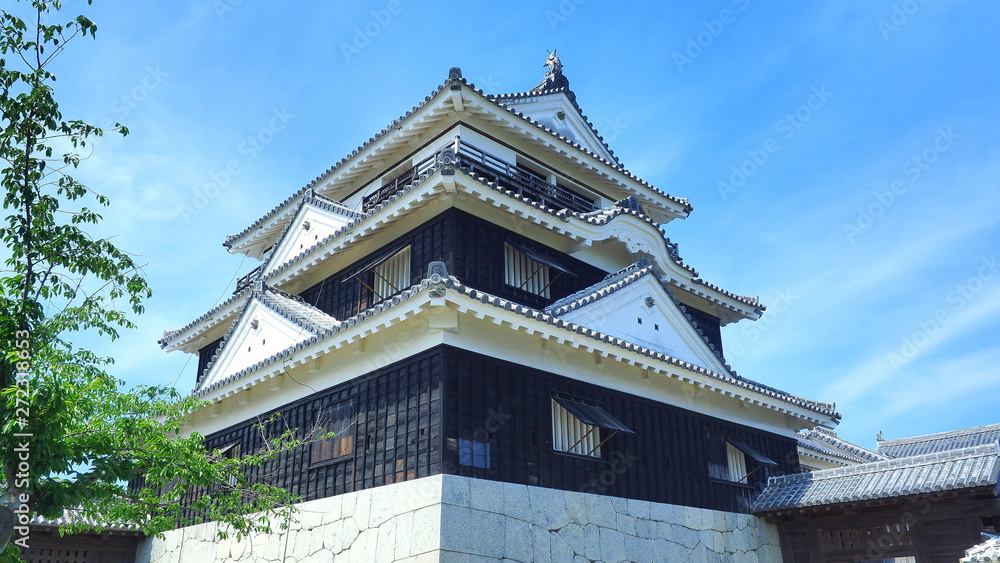 松山城9 松山城9